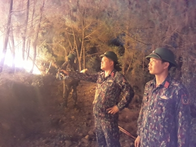 Gần 1.000 người trắng đ&ecirc;m chữa ch&aacute;y rừng th&ocirc;ng 15 năm tuổi