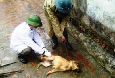 Bị ch&oacute; nh&agrave; cắn chủ quan kh&ocirc;ng đi ti&ecirc;m ph&ograve;ng, 2 bố con tử vong thương t&acirc;m