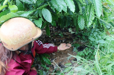 Hoang mang vì phân bón không tan sau gần 1 tháng