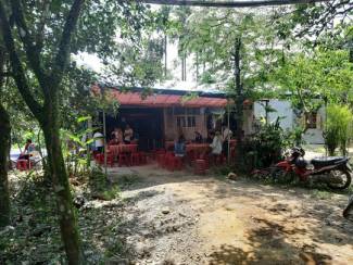 Đi lấy mật, chủ tịch hội chữ thập đỏ bị ong đốt chết