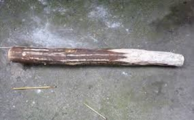 N&Oacute;NG: Tạm giữ h&igrave;nh sự nghi phạm giết chồng, phi tang x&aacute;c