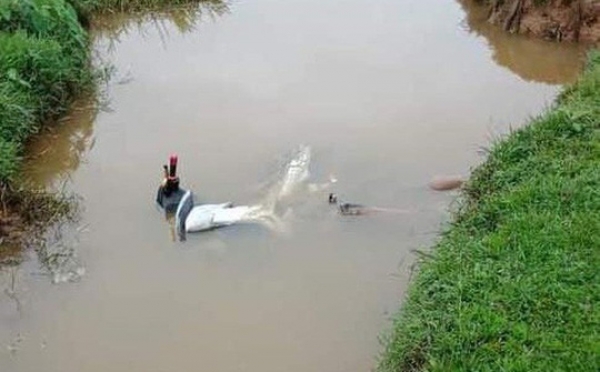 Ph&aacute;t hiện thi thể nam thanh ni&ecirc;n tử vong gần xe m&aacute;y