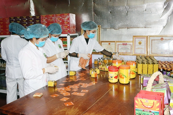 Bắc Kạn phát triển công nghiệp chế biến nông, lâm sản