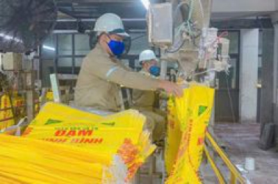 Áp thuế giá trị gia tăng 5% sẽ giúp giá phân bón ổn định và giảm