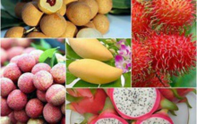 Cuộc thi &ldquo;Tự h&agrave;o h&agrave;ng Việt&rdquo;: B&oacute;ng h&igrave;nh qu&ecirc; hương