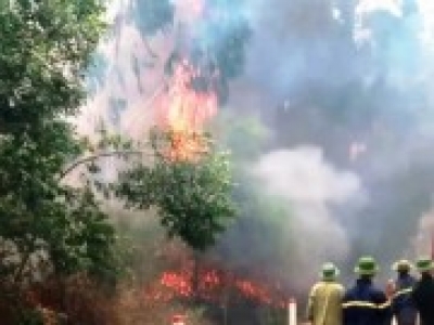 Một phụ nữ tử vong khi chữa ch&aacute;y rừng ở Nghệ An