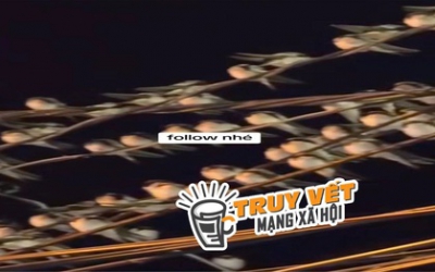 Ngành chức năng nói gì hiện tượng hàng ngàn con chim én đậu chằng chịt trên dây điện ở Cần Thơ ?