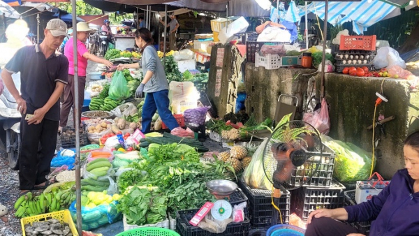 B&agrave; nội trợ giật m&igrave;nh với gi&aacute; rau xanh tăng gấp 3 lần, rau muống, rau cải tới 25.000 đồng/mớ