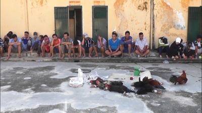 Ph&oacute; B&iacute; thư Tỉnh ủy An Giang n&oacute;i g&igrave; về việc con trai tổ chức đ&aacute; g&agrave;, đ&aacute;nh bạc?