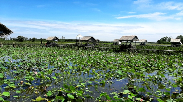 Đông đảo du khách đến tham quan Khu du lịch Tràm Chim và Đồng sen Tháp Mười dịp lễ 2/9