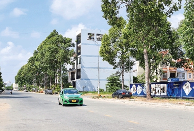 Thị trường nhà chung cư “lên ngôi”?