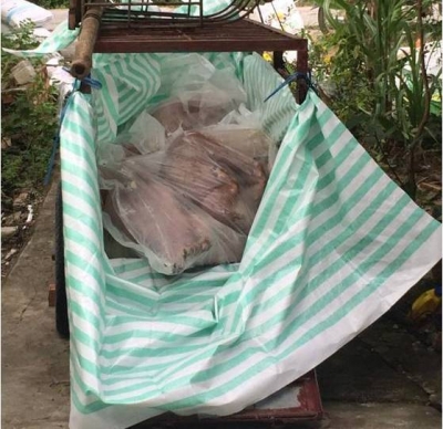 Long An ph&aacute;t hiện ổ dịch tả heo Ch&acirc;u Phi thứ 2