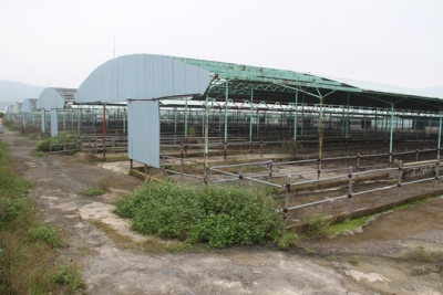 Bộ C&ocirc;ng an y&ecirc;u cầu định gi&aacute; dự &aacute;n nu&ocirc;i b&ograve; ng&agrave;n tỉ li&ecirc;n quan đến cha con Trần Bắc H&agrave;