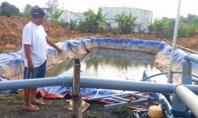 Dịch vụ cấp nước ngọt cứu khát cho sầu riêng