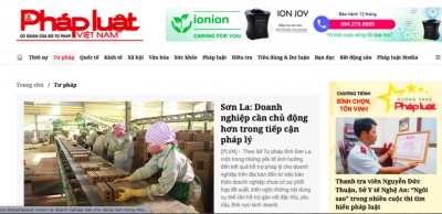 Xử phạt Báo Pháp luật Việt Nam 325 triệu đồng, tước giấy phép báo điện tử 3 tháng
