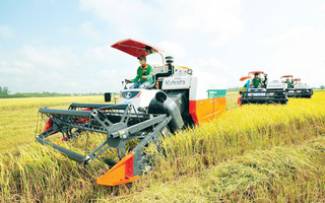 Phải n&acirc;ng cao thu nhập cho người trồng l&uacute;a