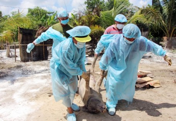 Vĩnh Long quyết liệt, khẩn trương dập dịch v&agrave; khống chế dịch!