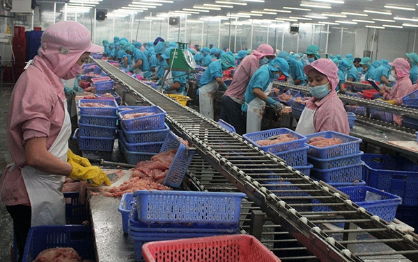 Mở rộng cánh cửa thị trường EU