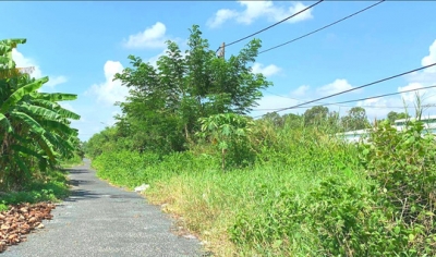 L&agrave;m dự &aacute;n khu đ&ocirc; thị h&agrave;ng trăm tỉ đồng rồi để lau sậy mọc um t&ugrave;m