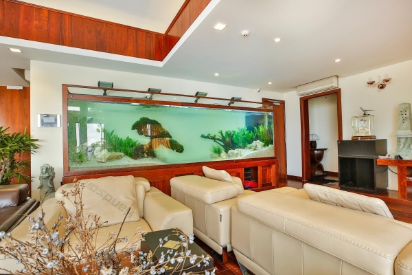 B&agrave;i tr&iacute; ph&ograve;ng kh&aacute;ch theo c&aacute;ch n&agrave;y để vận may &agrave;o &agrave;o