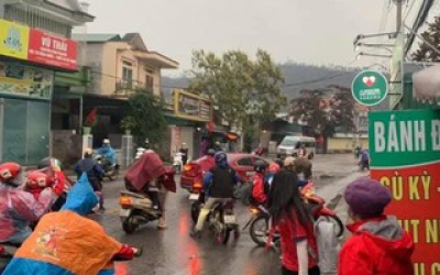Trâu “điên” gây náo loạn đường phố, húc nhiều người