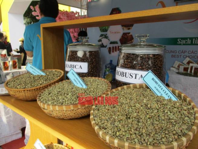Gi&aacute; c&agrave; ph&ecirc; trong nước vẫn đang thiết lập kỷ lục mới