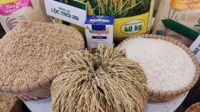 Việt Nam có 5 doanh nghiệp trúng thầu cung cấp gạo cho Indonesia
