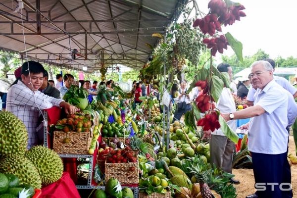 Khảo sát và tham dự Ngày hội Du lịch sông nước miệt vườn
