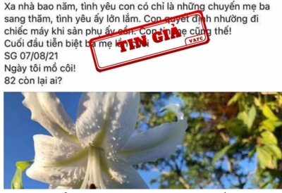 Trung tâm xử lý tin giả lên tiếng về câu chuyện &quot;bác sĩ nhường máy thở của mẹ&quot;