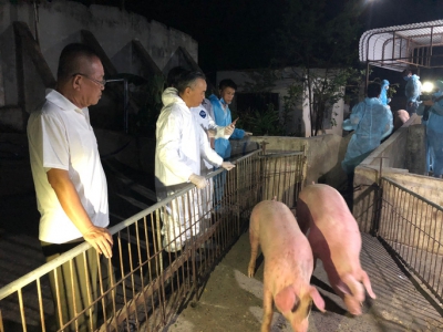 Heo Th&aacute;i Lan vừa tới cửa khẩu đ&atilde; gặp "sự cố"