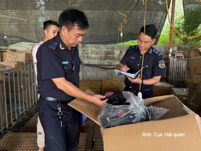 Nhiều th&aacute;ch thức kiểm so&aacute;t h&agrave;ng x&acirc;m phạm sở hữu tr&iacute; tuệ qua bi&ecirc;n giới